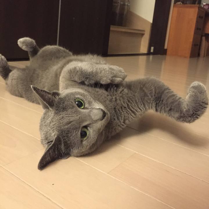 F459e861 20e8 42b3 a2e4 2f2e204ec528