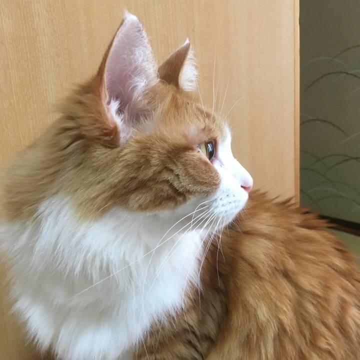 F459fdab 3e95 4e5b a6b0 79a237a71532