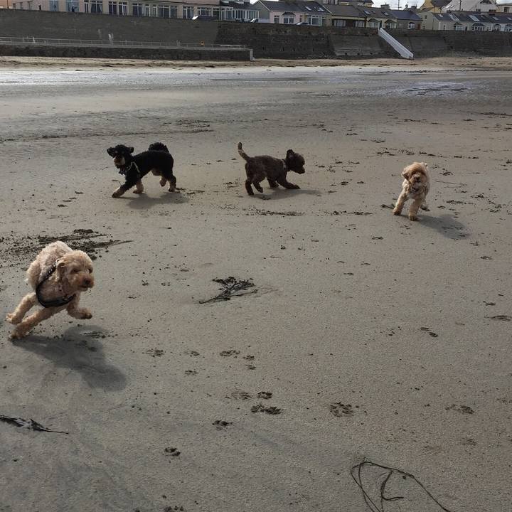 F45a409f f153 4b12 9ad5 c7a35c86ae7c