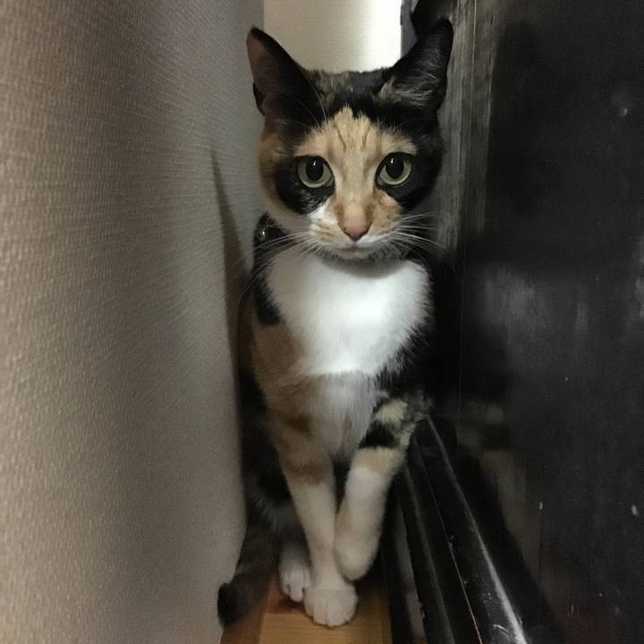 F45a4116 8fbb 43b4 b99d 0b502a181a4e