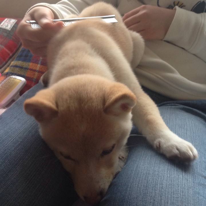 F45a840c d39d 4c70 8cfb 925c1f92302b