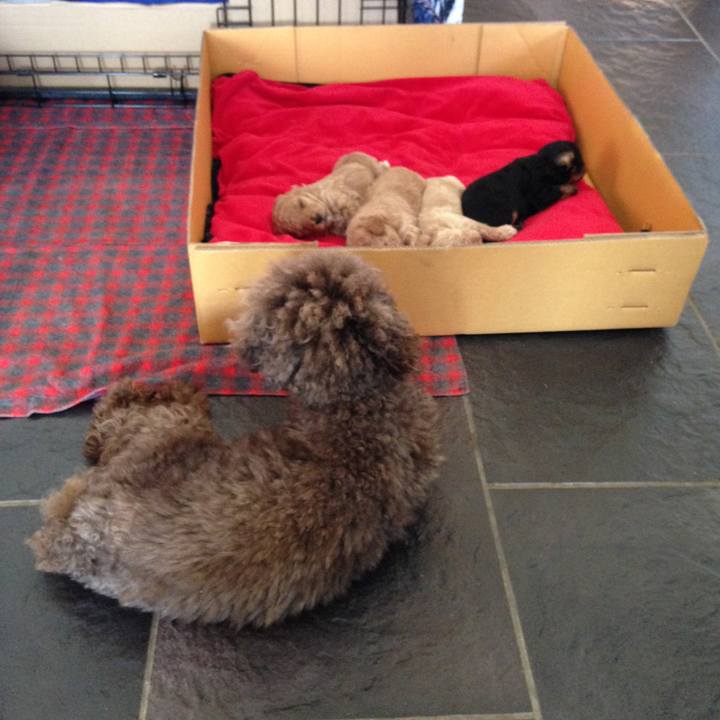 F45ae980 8263 496a bbce 5f21a077bee4