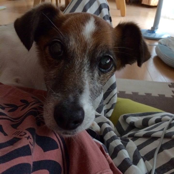 F45c495f 7b53 4388 8717 6791c9f8eb1b