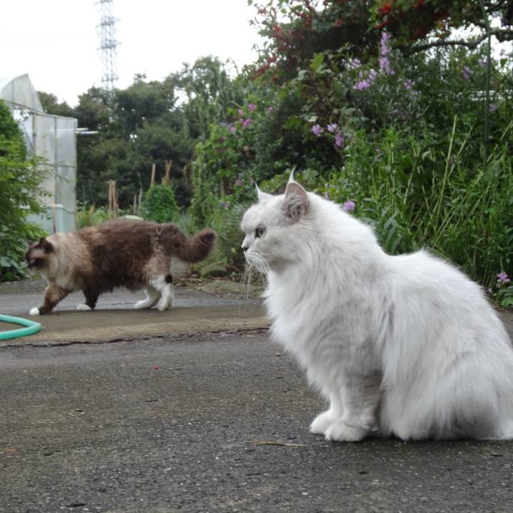 F45c9bf9 7945 4de7 a9f8 60d4c29417f1