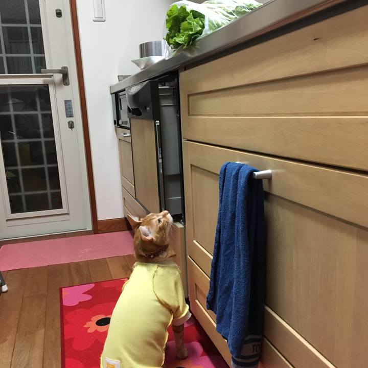 F45cc354 d6cf 4839 b202 d9d949970562