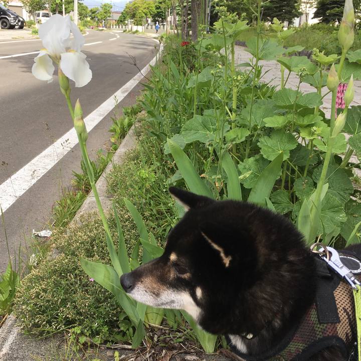 F45d24b1 852e 4870 b024 8266103bde3e