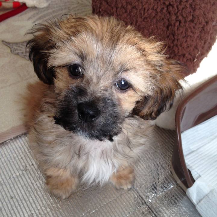 F45d3aba 4b64 48b1 8576 5909acdabbd1