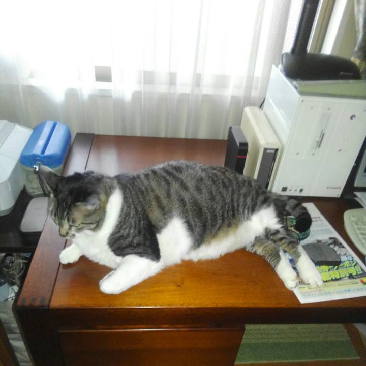 F45dc49f 301f 4b5e b3e8 88e7406c49a7