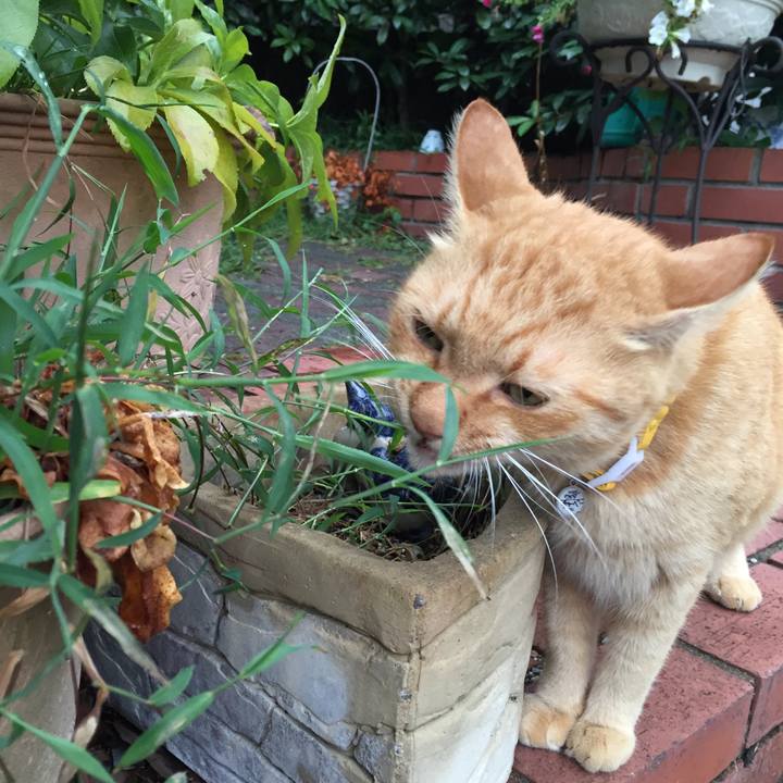 F45e1306 bbc4 4738 a983 ab205f868819