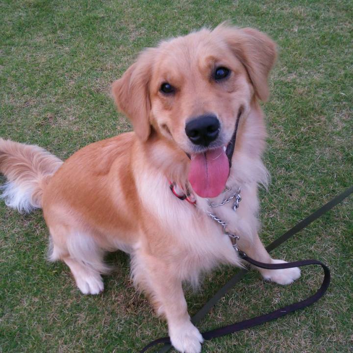 F45edde0 8b31 4666 81dd abb5bd8ec1a8