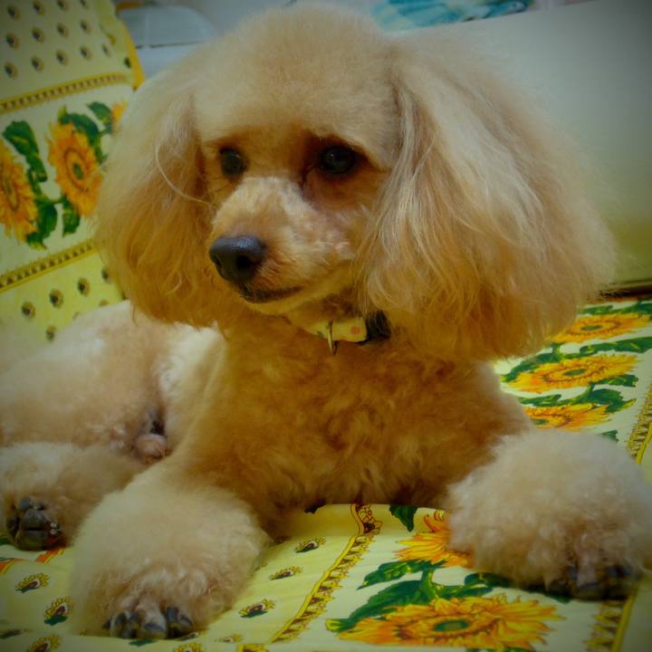 F45f1514 33ef 4e6a b388 3a543c375b94