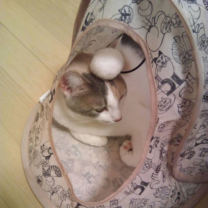 F4601343 8267 424f b6be cb96a3285920