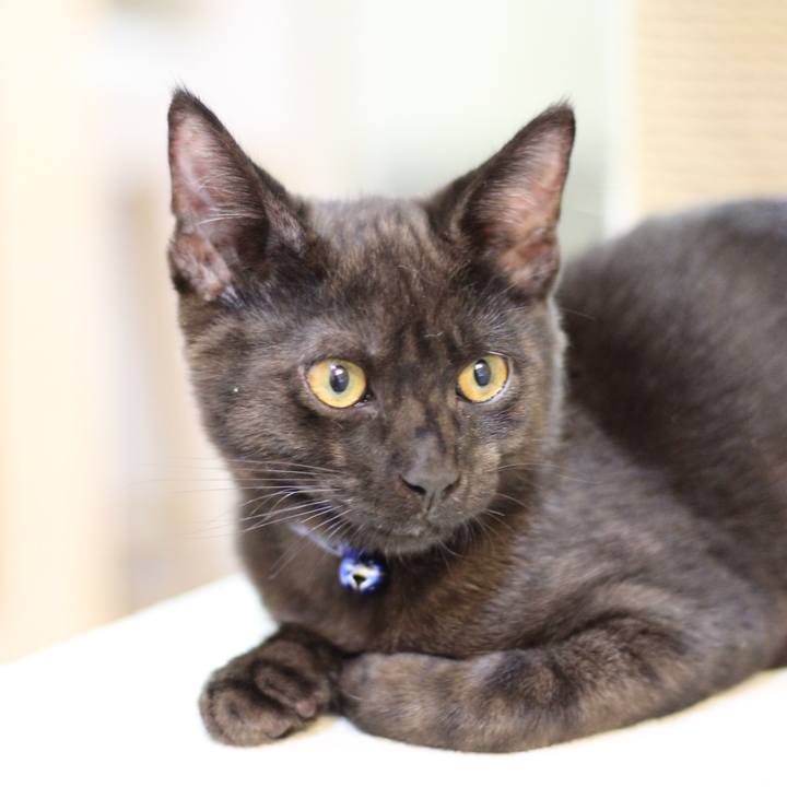 F4608633 dcb1 4472 af76 c63ff3a0bfa1