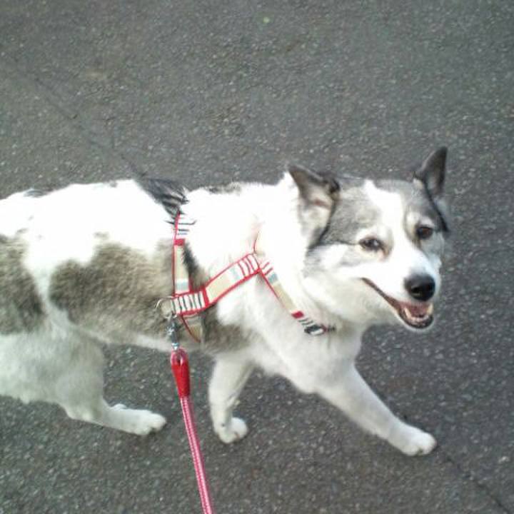 F460ba5b 21b9 42f8 b098 9c1ca75bce61