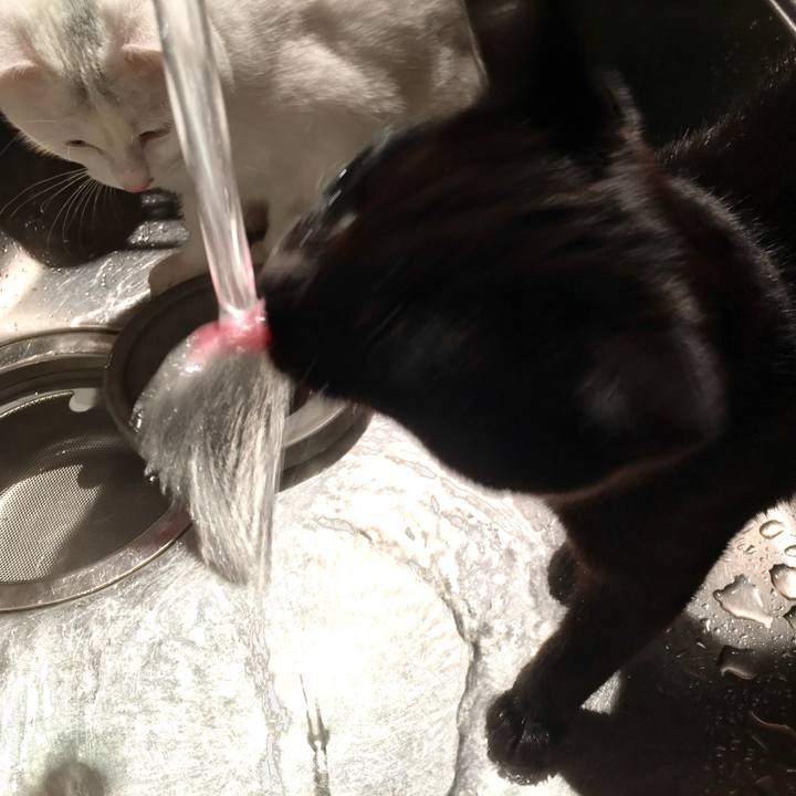 F461bee3 ee47 460b 92c6 7b9c68e9b469