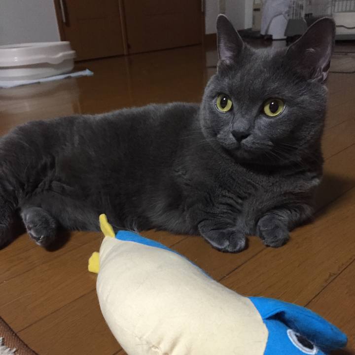 F4624700 d7f1 4483 9d9b ddc665edebb0