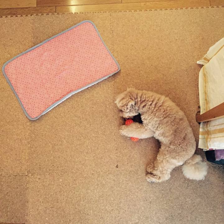 F4629092 387f 4d2f 8e02 87d648657067