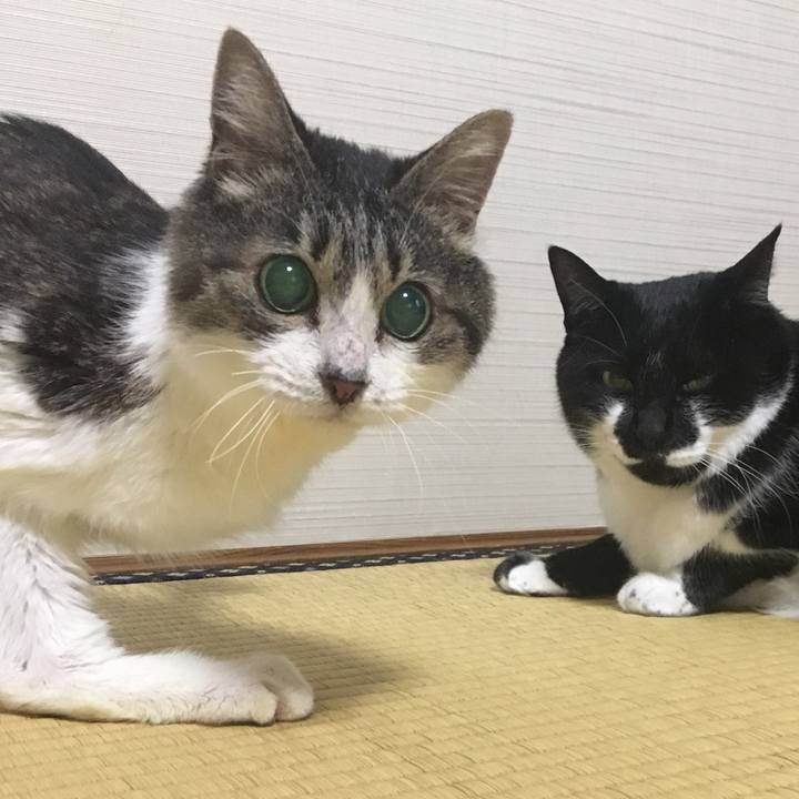 F462cb94 2cd5 4009 b2fe 3c3751ec2a11