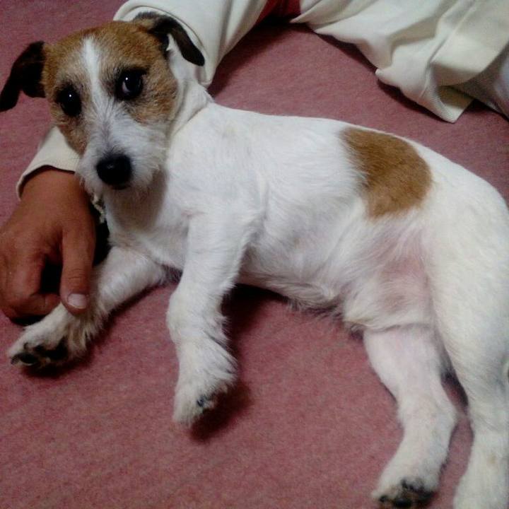 F463573d 1fc2 4481 adf8 6158d489e63e