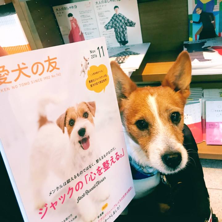 F463a9c4 fc37 4cc2 a0f3 d102d0ec8a0c