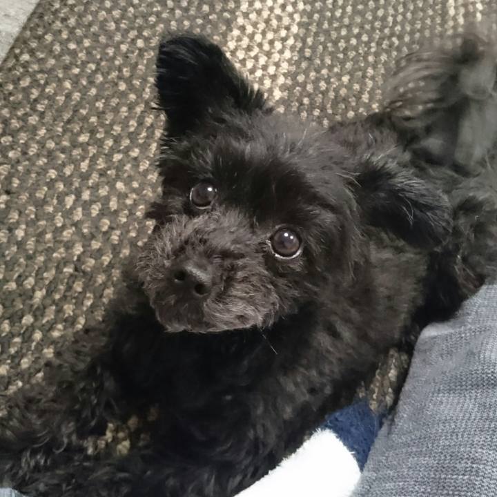 F463aea1 e519 4bb5 899b 45f3e7e79e3d