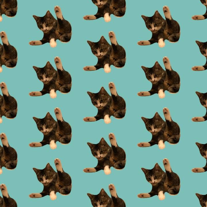 F463e772 0d42 45d3 98bb 5a08e75dee72