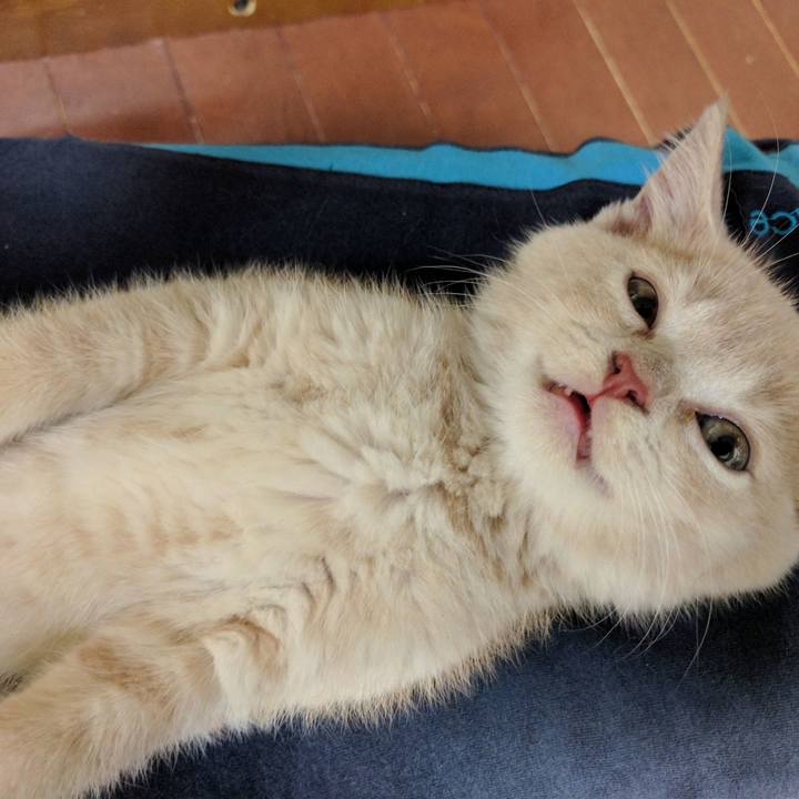 F464e253 3e62 4e7c bbdc 6bc308454438