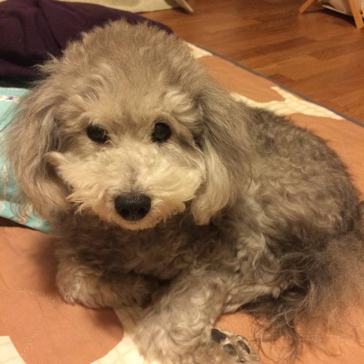 F465381d af15 4415 ada0 1e62e4f87a47