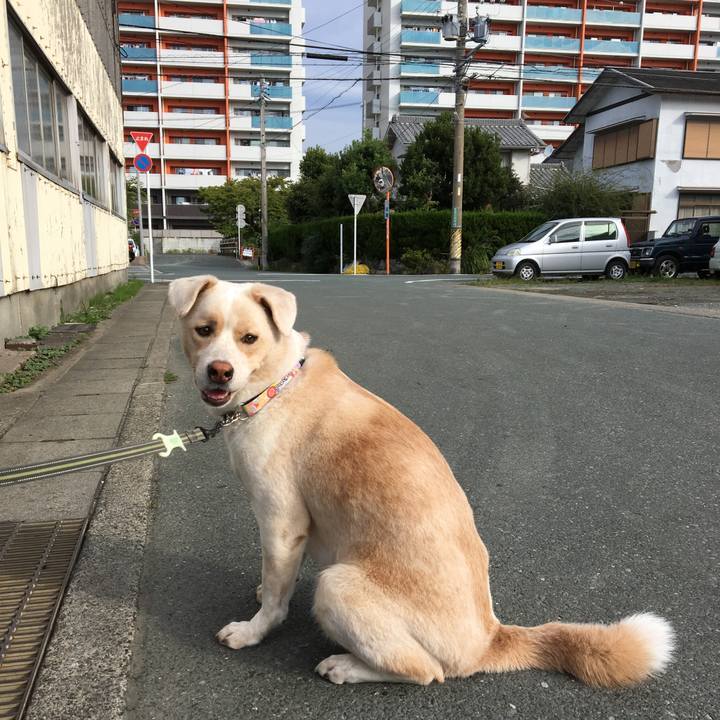 F465ad14 bbdc 44de be28 2d319de50364