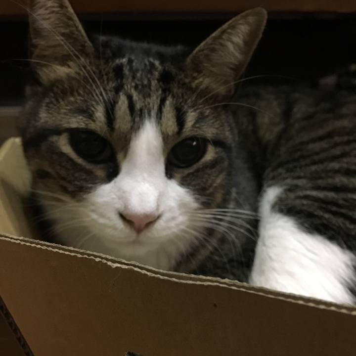 F4664c77 6feb 4eec 8fea 63de819a68b7