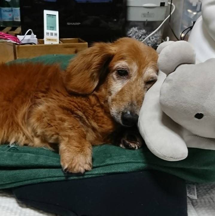 F46670cf dd5c 4420 bb2d fd316f9bbdce