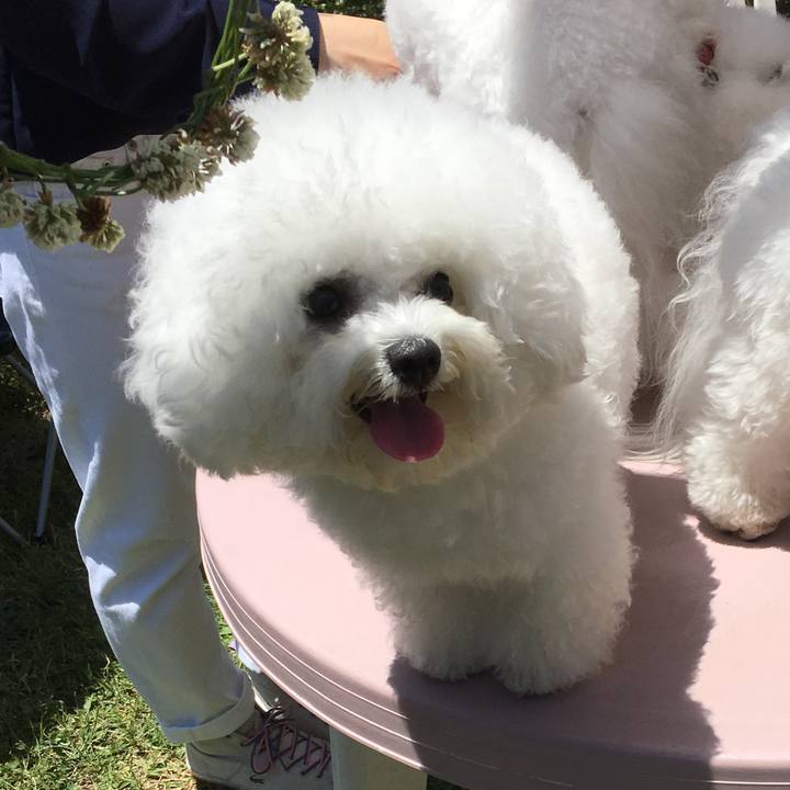 F466baf5 6f20 4ec7 99d8 276ef026a3b8