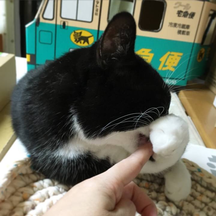 F4670ef1 cdd2 4cfe bebc 71773af7f3bd