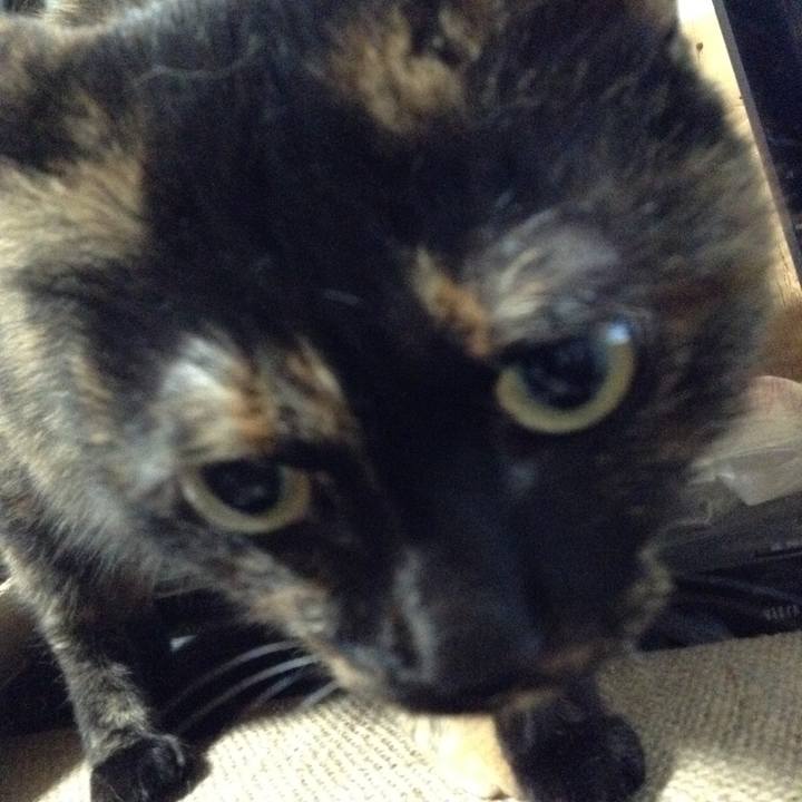 F4673c11 6b56 495b bb08 f90724a50820