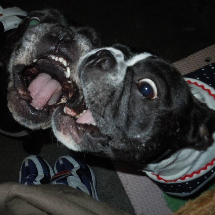 F4679e9c 7507 4cbd 8bf0 e4a81f20d396