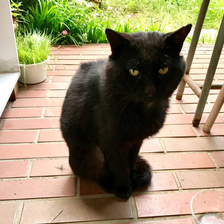 F467cc30 3c0e 4411 9865 d109db02e4dc