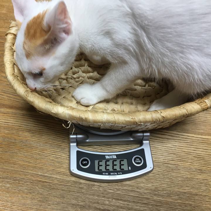 F4683d23 40e6 4e13 a4b4 c539c77c2d92