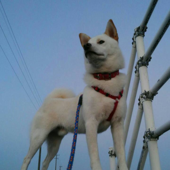 F4684b0c b3b1 4d7f b11d 88c0f2849f93