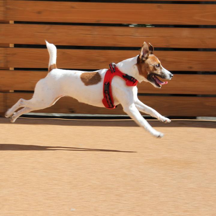 F468a940 c840 49ca 8926 64edef90081b