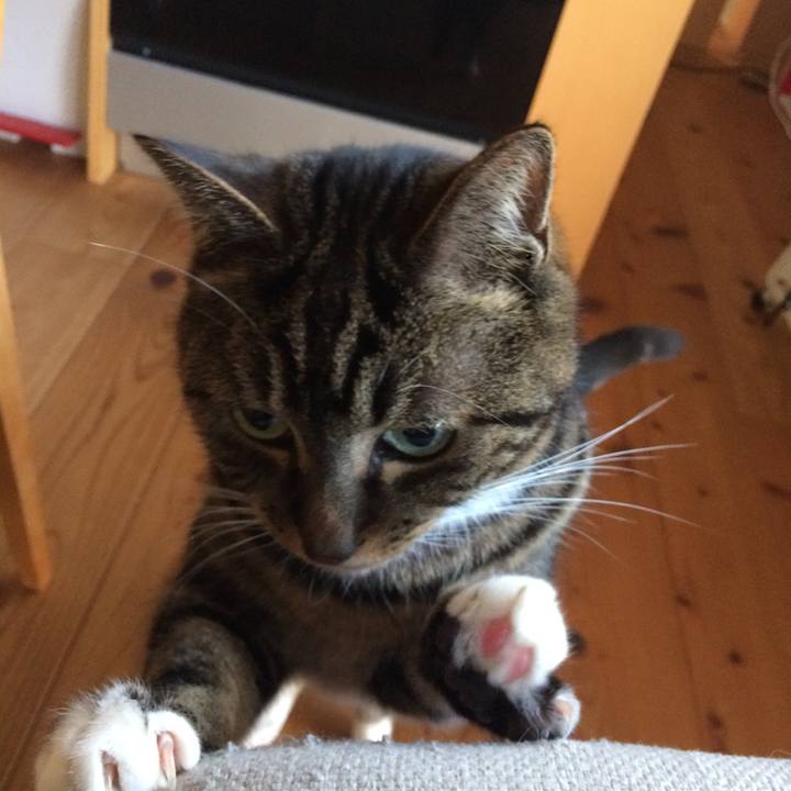 F468ebbe 3f2b 4c95 83ff f583256393b0