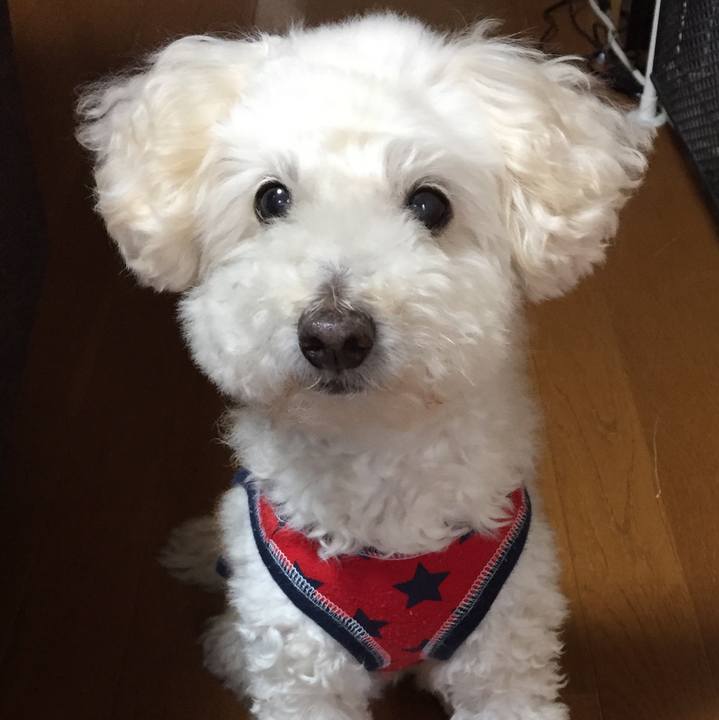 F46994c2 c4a6 4754 b19e 074b9b9b0ded