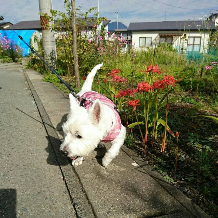 F469a21c e2bf 4234 8a83 7bbc6de60108