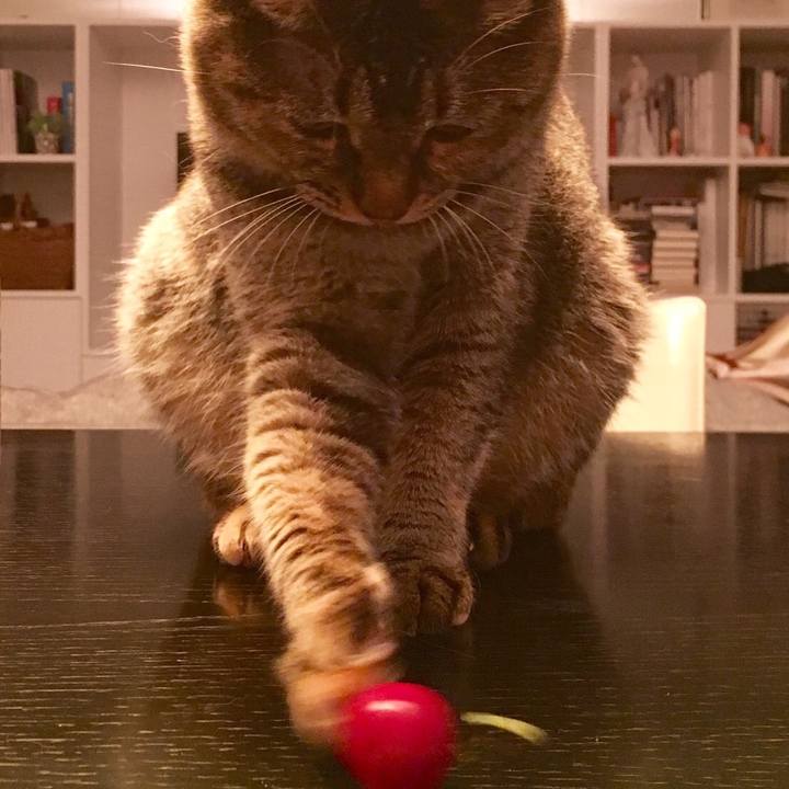 F469bcae 1cbb 443e 97f4 be0f40aaaaf3