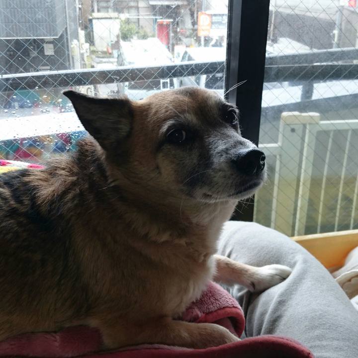 F469f3ee 90f1 4650 96fb d33733b2407e