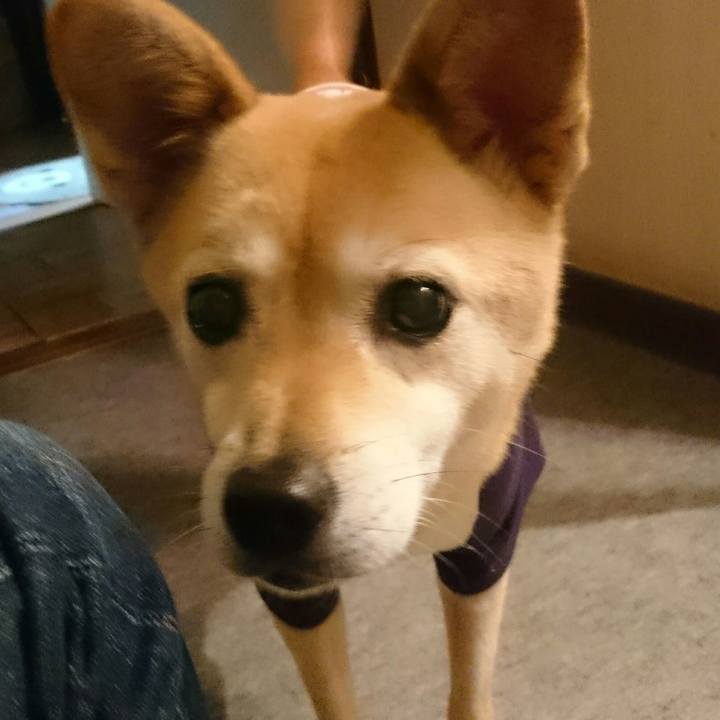 F46a850a b35f 4f7c a720 0b8505549cf0