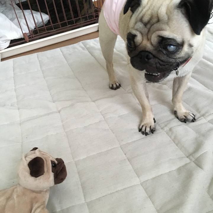 F46b233c 4560 4a62 b712 58f4150529f6