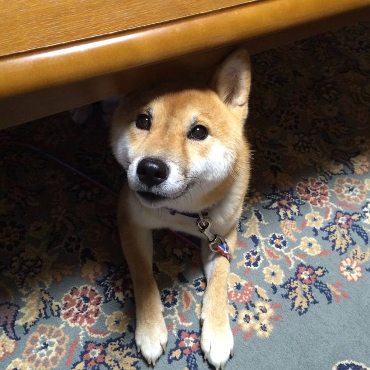 F46b66e3 d037 4382 aacc 6ef990ca9022