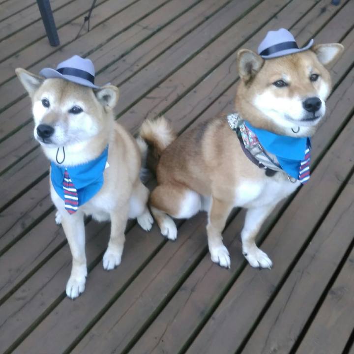 F46b9a87 3daf 41bf a619 7eea0c4cb689