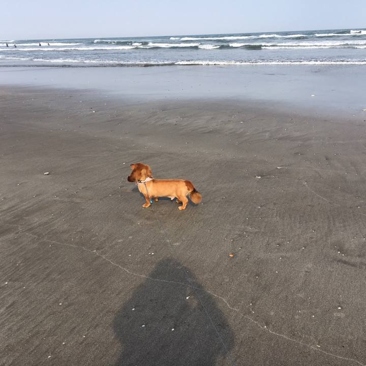 F46bf870 200f 4b0c a71e 7073656bc689