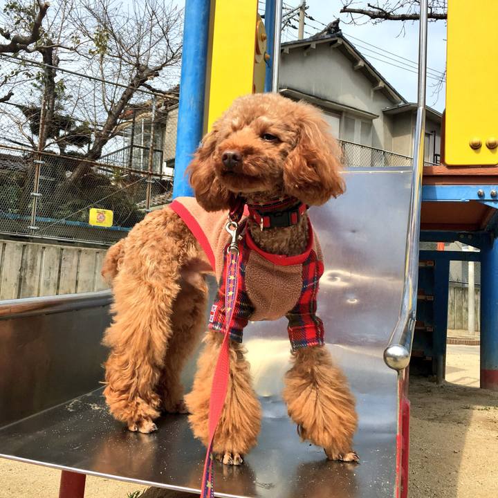 F46bfcaa 855b 4673 9d73 35a4ff4aec6f